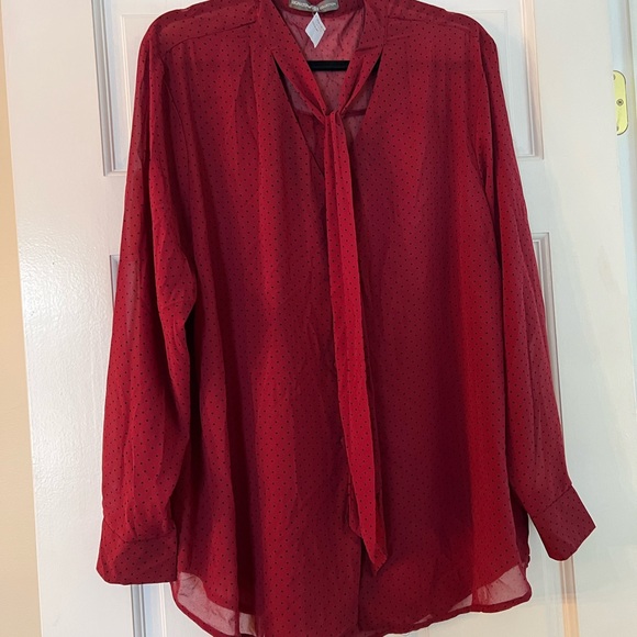 NWT Polka Dot Mens Style Blouse with adorable details - Picture 3 of 6